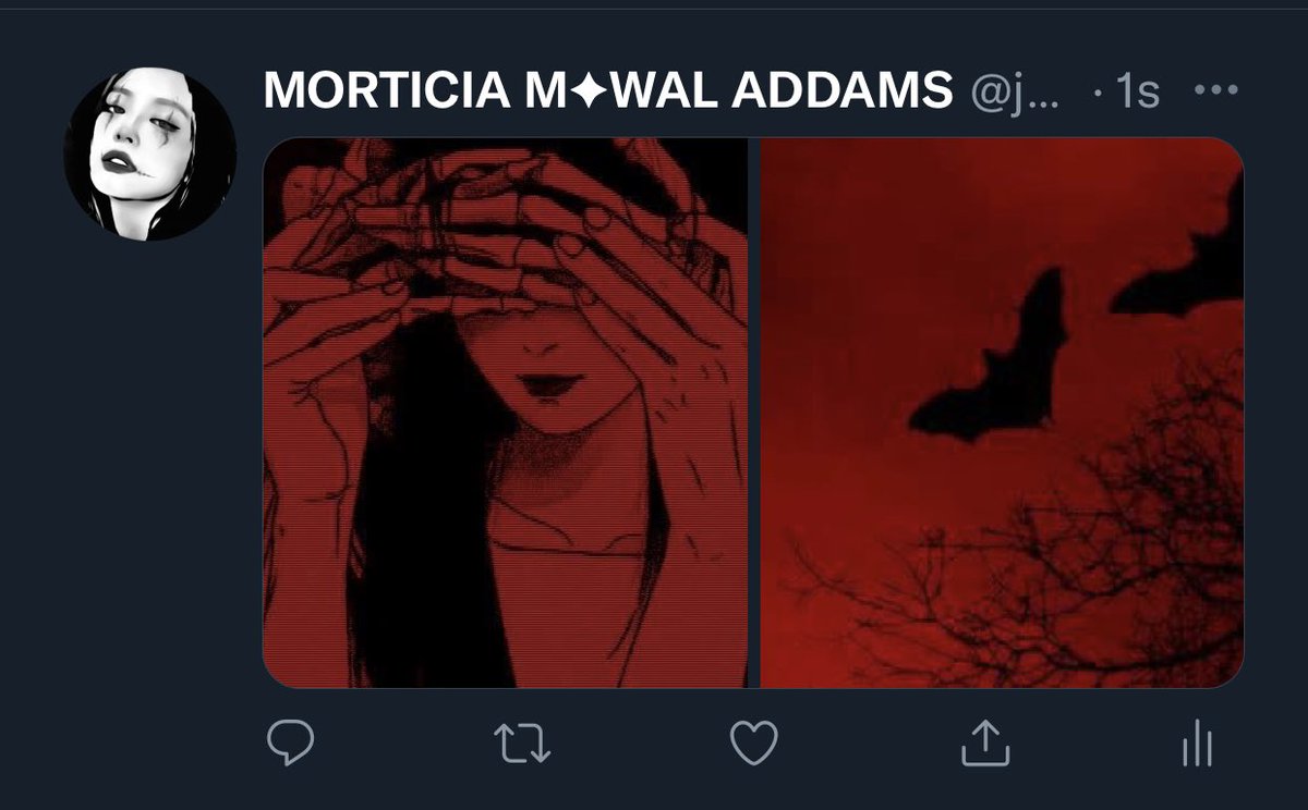 M✦WAL catnip tweet media