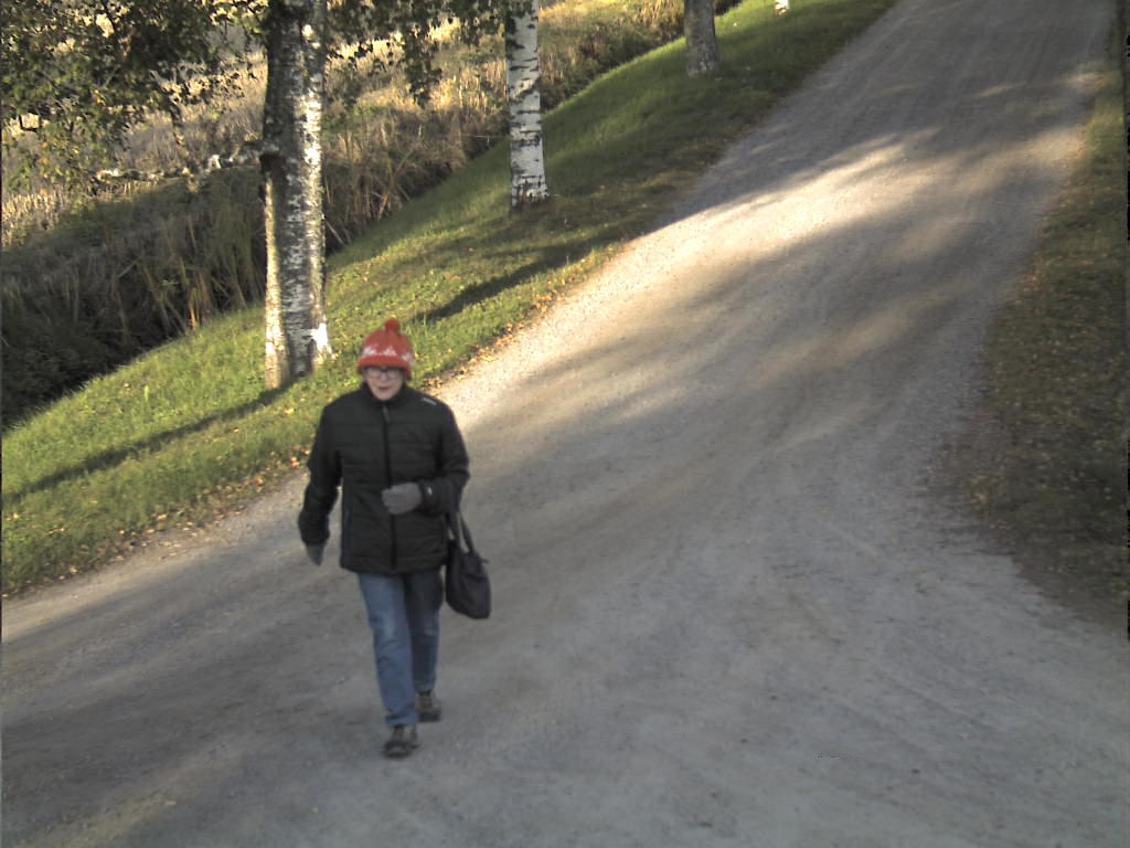 83-vuotiasta Saraa ei ole löydetty – poliisi kehottaa tarkistamaan ulkorakennukset dlvr.it/SBWr8C