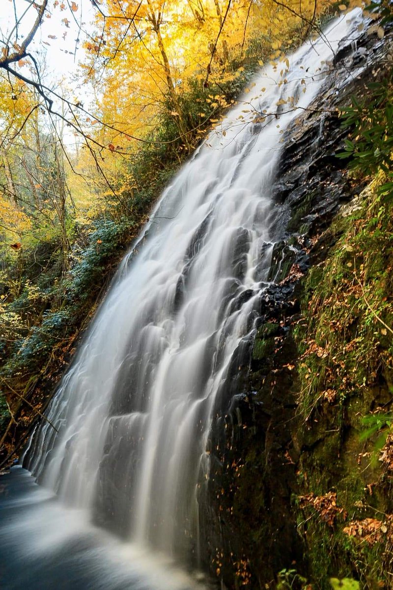 “Water is the most perfect traveller because when it travels it becomes the path itself!”.....💛🖤💚

#naturalbeauty #waterfall #life  #color