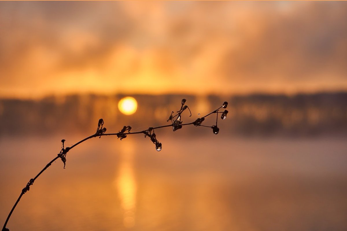 İrkçı olmamanın ilk alâmeti,
başka dili hor görmemektir..

#ZilfiTomaev