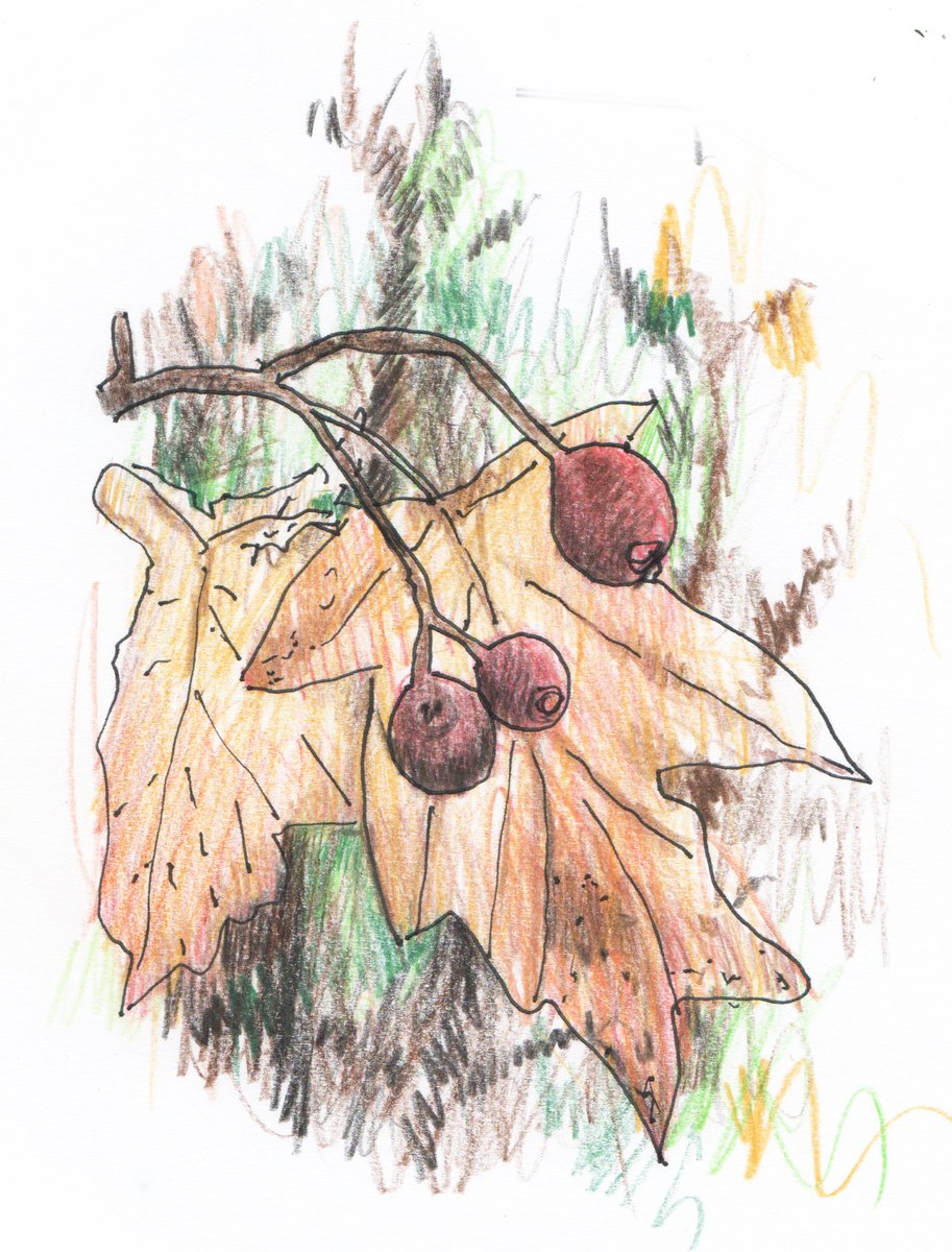 Rob Turner tweet media