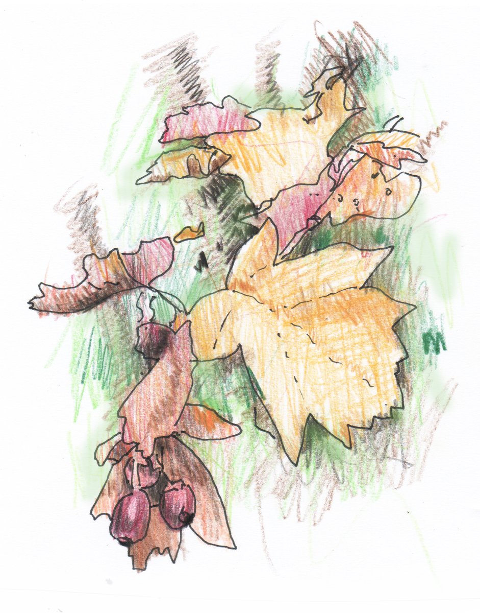 Rob Turner tweet media