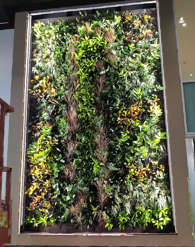 GroupNedlaw's tweet photo. A behind the scenes look at our #NedlawLivingWalls team installing this stunning #livingwall #biofilter at the YMCA in Vaughan. 
Clean air, naturally 🌱
#biofilter #nedlaw #greenwalls #greendesign #biowall #plantwall #landscapearchitecture #urbandesign #sustainability https://t.co/oQZKyBHmnD
