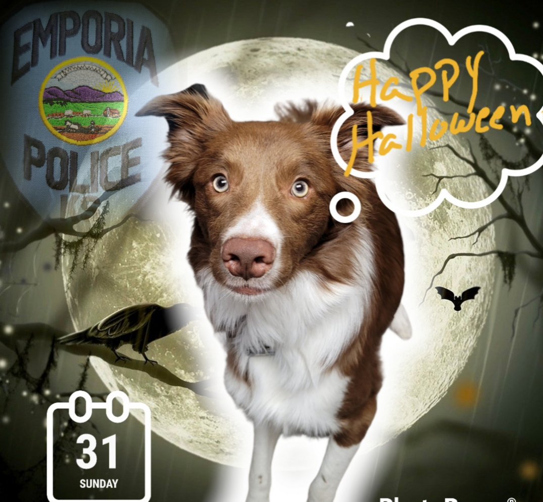 Lt. Lieuy and the Emporia Police Department want to wish everyone a safe and happy Halloween.  Lt. Lieuy ask you to check out our Facebook and Instagram pages for some safety tips for Halloween.