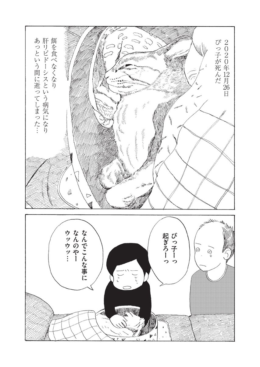 【岩手県宮古市在住・四十代男性、日々の記録です】
『みやこまちクロニクル/ちほちほ』第17話を公開しました。
https://t.co/PEgBldWbbq
猫のぴっ子が死んでしまい悲しみに暮れる五野上家。そんな中、お父さん(86歳)の帯状疱疹の具合いを診てもらいに病院へ行ったところ、心電図に異状が……