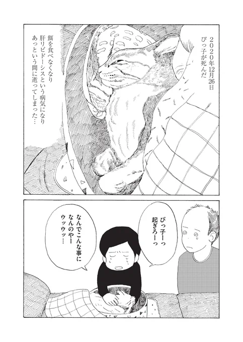 【岩手県宮古市在住・四十代男性、日々の記録です】

『みやこまちクロニクル/ちほちほ』第17話を公開しました。

https://t.co/PEgBldWbbq

猫のぴっ子が死んでしまい悲しみに暮れる五野上家。そんな中、お父さん(86歳)の帯状疱疹の具合いを診てもらいに病院へ行ったところ、心電図に異状が…… 
