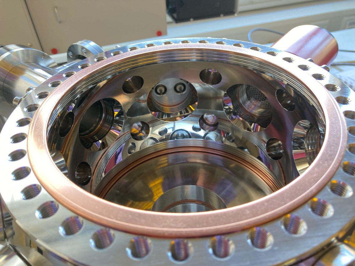 ElsaesserLab tweet media