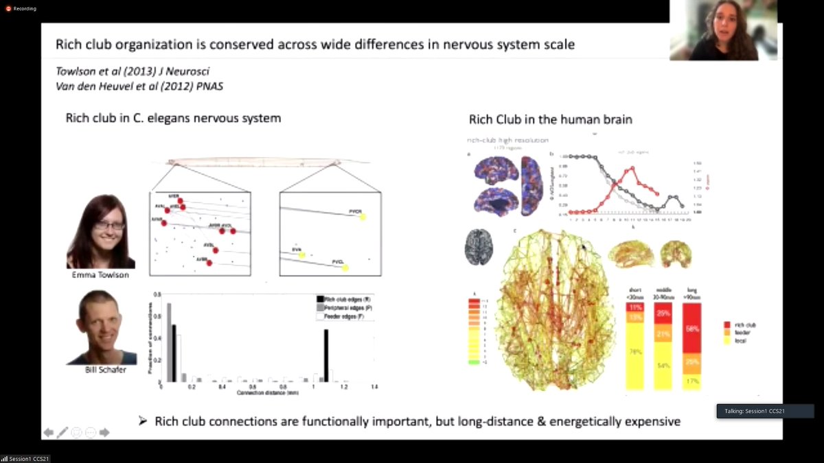 HirokiSayama's tweet image. Final plenary talk by Petra Vertes on network neuroscience
#CCS2021 @Ccs2021L