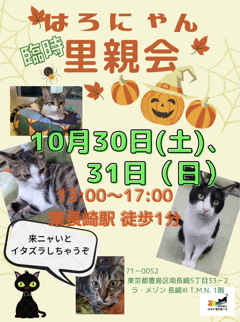 Npo法人にゃいるどはーと 里親会 臨時里親会開催します 10月30日 土 31日 日 13時 17時 東長崎駅より徒歩1分 保護猫カフェ 猫のために 開店予定地にて チビッコにゃんたちもたくさんご縁を待っています 是非お越しください 保護猫 Npo法人にゃいるどはーと 里親会 臨時里親会開催します 10月30日 土 31日 日 13時 17時 東長崎駅より徒歩1分 保護猫カフェ 猫のために 開店予定地にて チビッコにゃんたちもたくさんご縁を待っています 是非お越しください 保護猫