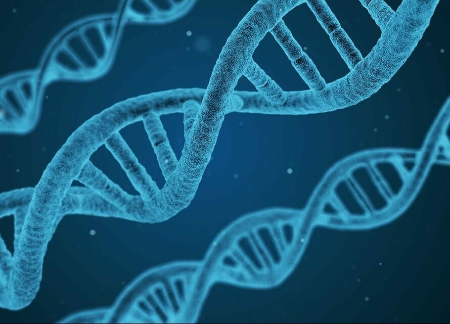 Report consultant tweet media