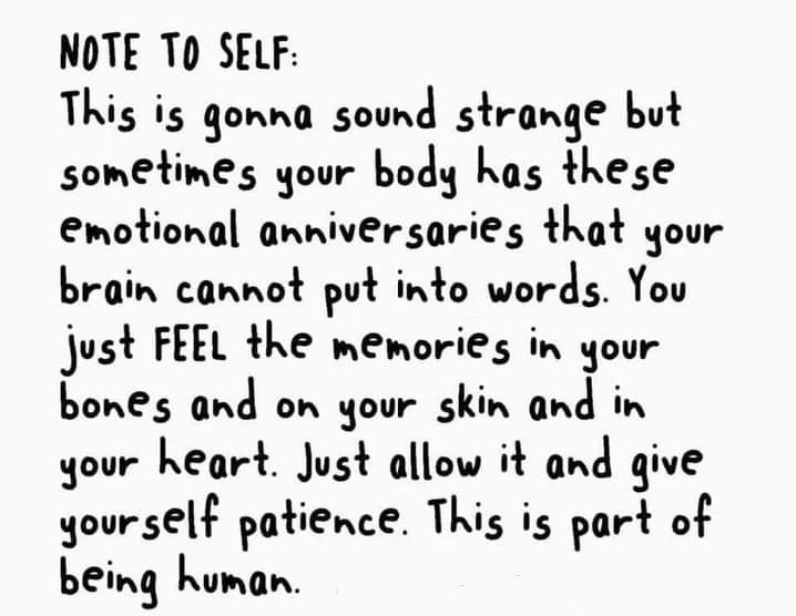 RubyStarflight's tweet image. 