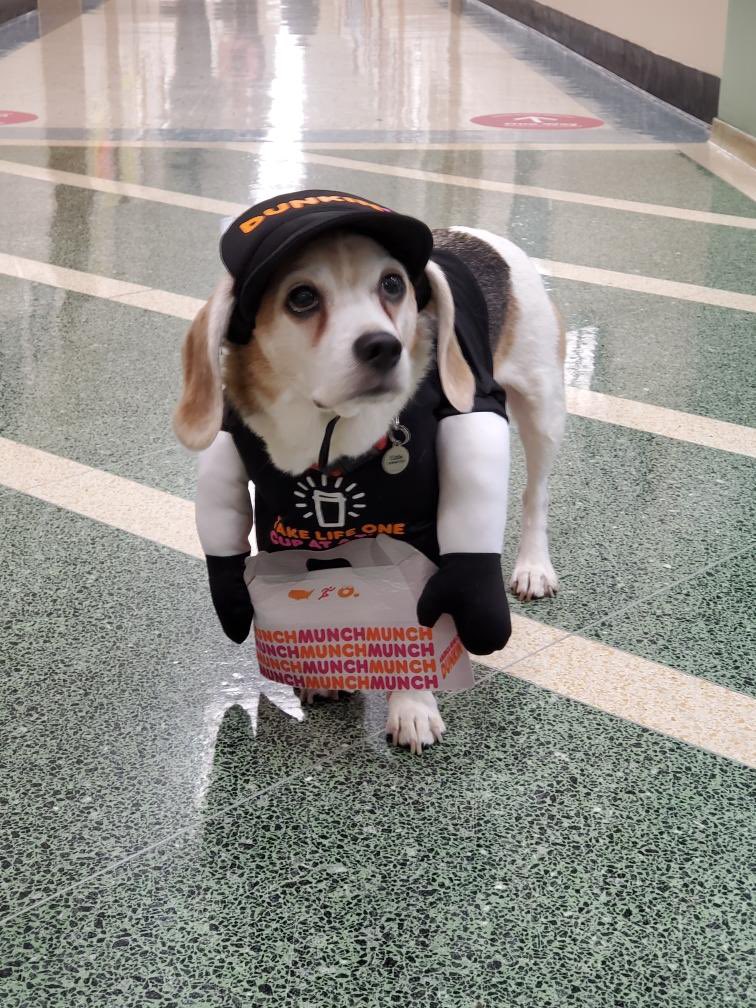 Halloween sure is SWEET at William L. Buck Elementary School! 🍩🍩🍩🍩🍩🍩🍩🍩🍩🍩 #LookForTheAwesome #BelieveInBuck <a href="/dunkindonuts/">Dunkin'</a> <a href="/WlbEddie/">WLBEddie</a> <a href="/DonSturz/">Don Sturz</a>
