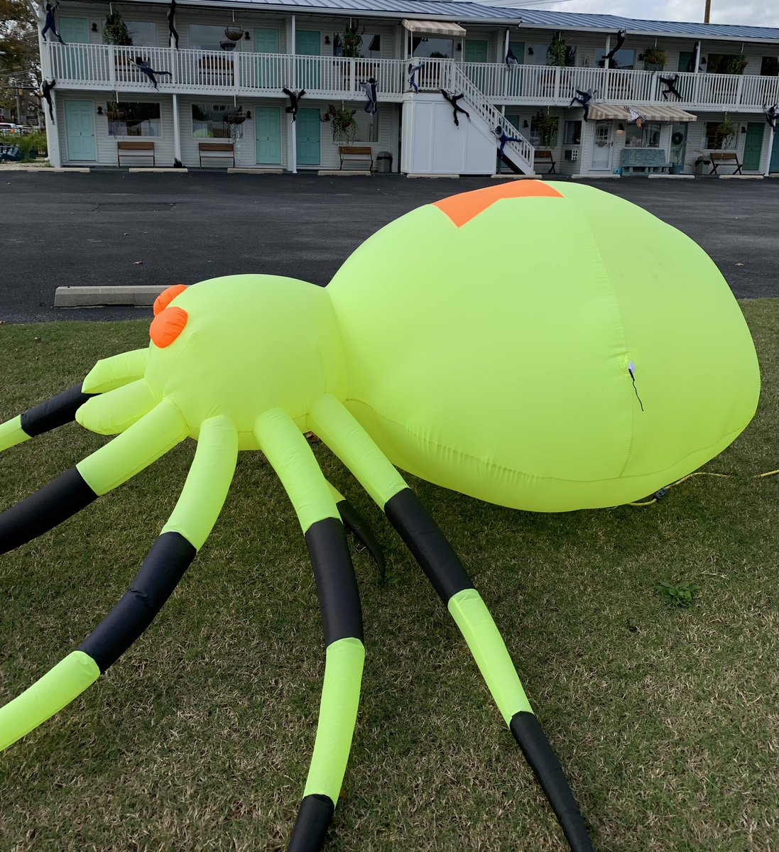 #Halloween in <a href="/CityofRehoboth/">City of Rehoboth Beach, DE</a> <a href="/VisitRehoboth/">VisitRehoboth</a> where they do it big.  The motel on the way out used zombies and a giant neon spider #HappyHalloween