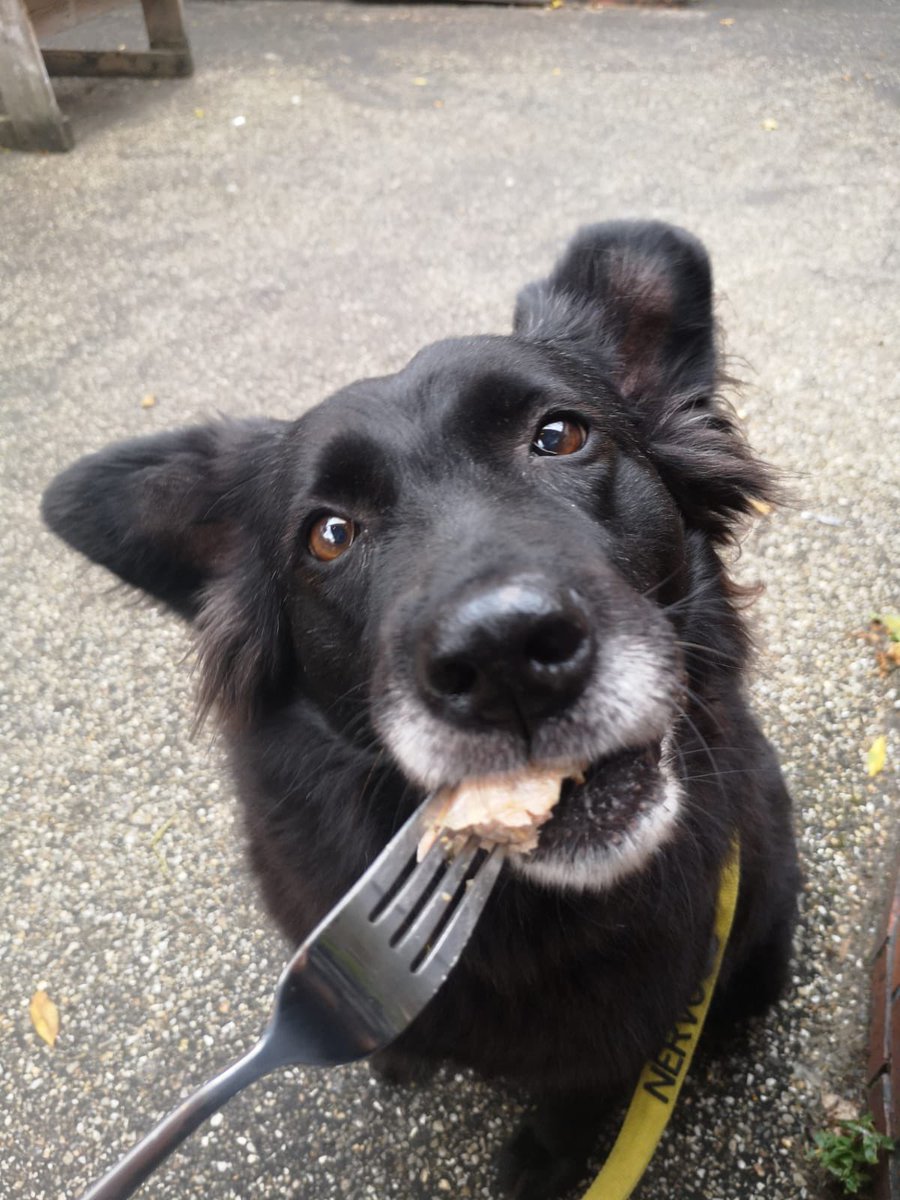Sausage Week at The Broadfield; A Story in Three Parts 👀💓😋 Starring Nora Russell 🐺