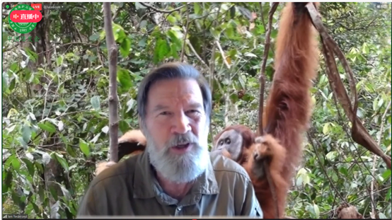 WAOSD_2408's tweet photo. [Session 1-Ian Redmond] At today's #Apes,#biodiversity , and #climate Conference, @4Apes , our dear chairman of @Alliance4Apes   and co-founder of @RebalanceE  addressing the opening🥳
#ForNature #ecosystem #ecosystemsfriendly https://t.co/7ezBPpHXqB