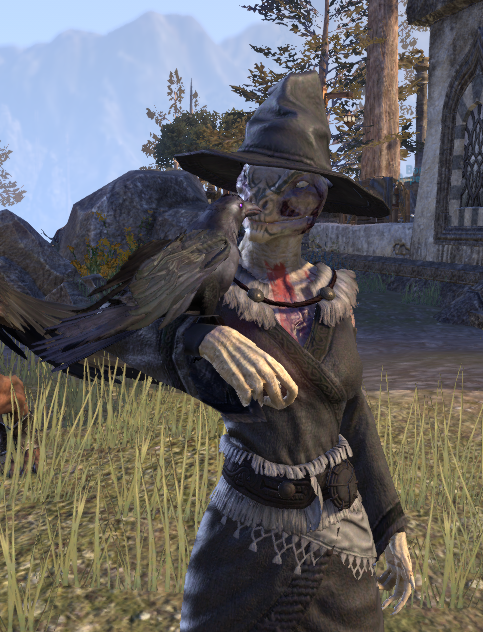 TWUESO's tweet photo. He do be kinda cute. And he likes shinies.

#ElderScrollsOnline https://t.co/Ea9PmxHREn