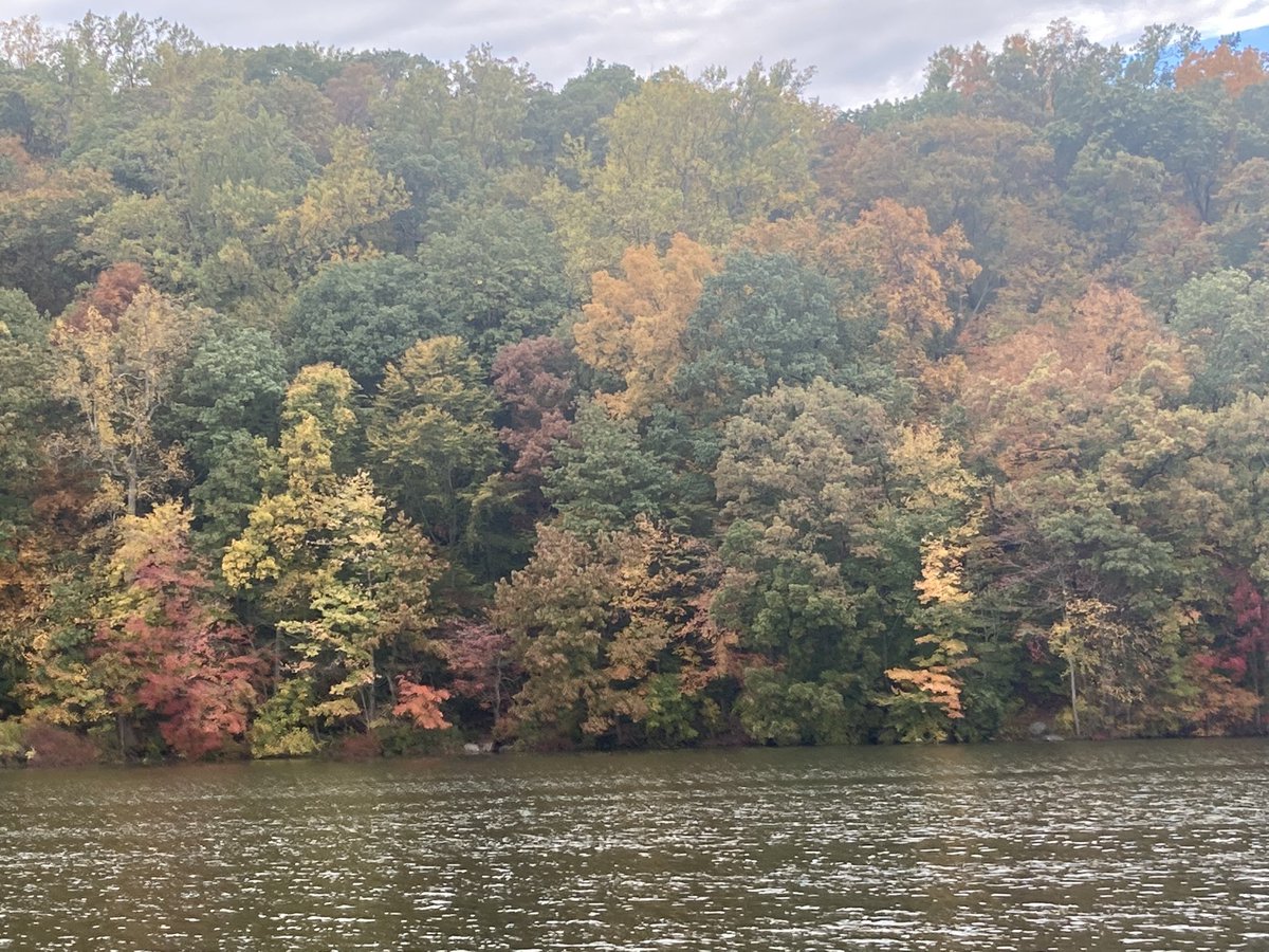 BaritoneCotton's tweet photo. ￼This mornings workout on the Hudson River. It was crisp and cool and very colorful. ￼When I’m done it’s right back to work! There is music to be sung. 

#nomadbaritone #baritoneproblems #baritone #NewYork #fall #fallcolors #nystateofmind #running #pushups #cardio https://t.co/MNedyGiRx6