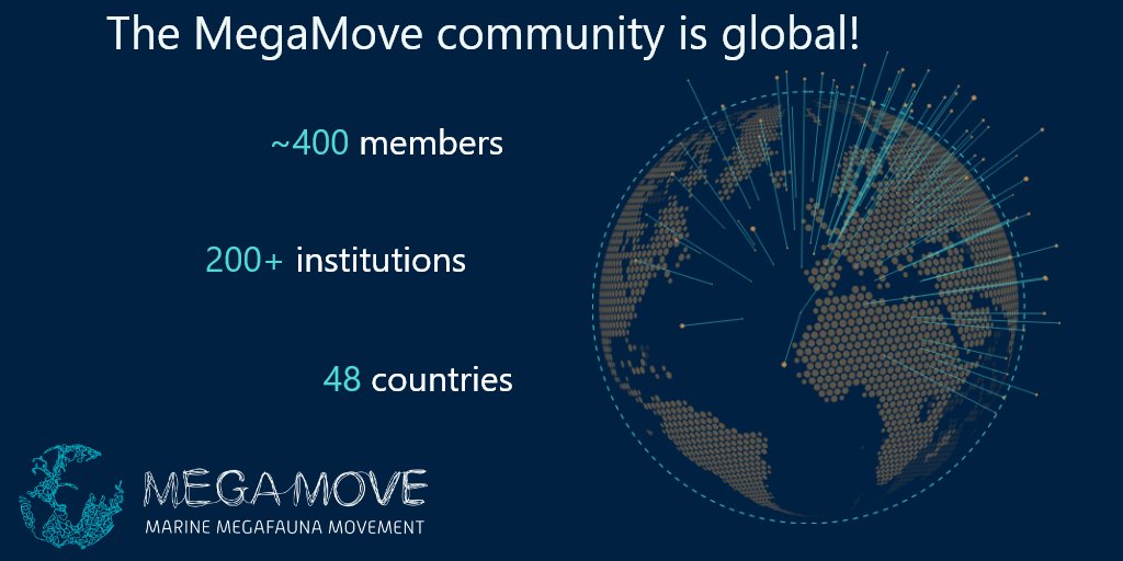 MegaMove tweet media