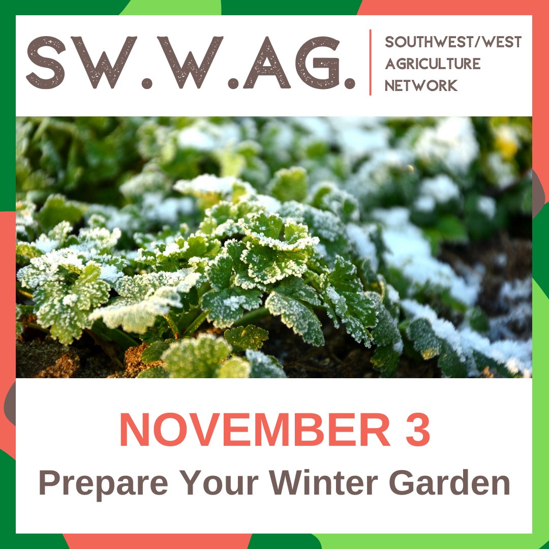 Time to get your garden ready for a restful winter sleep! Learn the best ways to prepare for winter, including cover crops, overwintering greens, and more.

❄️

Prepare Your Winter Garden (SWWAG workshop)
11/3 at 5PM
at #SankofaCommunityFarm

REGISTER: bartramsgarden.org/event/winter-g…