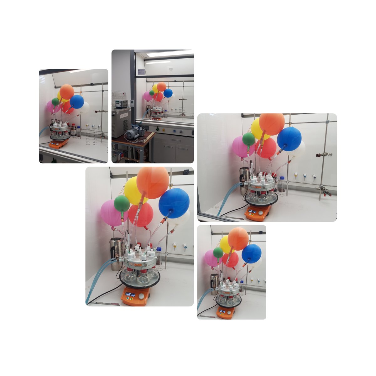 IBMM - Polymers for Health and Biomaterials (@biopolymerteam) on Twitter photo Vendredi , tout est permis au Pôle Chimie <a href="/chimiebalard/">Pôle Chimie</a> <a href="/BiopolymerTeam/">IBMM - Polymers for Health and Biomaterials</a> avec Gabriele!!!! #synbio3 <a href="/CNRS_OccitaniE/">CNRS Occitanie Est</a> <a href="/umontpellier/">Université de Montpellier</a> @radleys Vendredi , tout est permis au Pôle Chimie <a href="/chimiebalard/">Pôle Chimie</a> <a href="/BiopolymerTeam/">IBMM - Polymers for Health and Biomaterials</a> avec Gabriele!!!! #synbio3 <a href="/CNRS_OccitaniE/">CNRS Occitanie Est</a> <a href="/umontpellier/">Université de Montpellier</a> @radleys