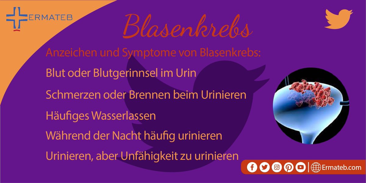 ermatebde's tweet photo. 💛💛☠️🤳🗣️

Diäten mit Gemüse, Obst und Hülsenfrüchten wie Bohnen und Erbsen verringern das Risiko für Prostatakrebs.
#berlin #tourism #medicaltourism #germany #ermateb_en #ermateb #ermateb_farsi #ermateb_ur #ermateb_ru #ermateb_ar #ermateb_de #gesundheitstourismus https://t.co/YA86gr3pPk