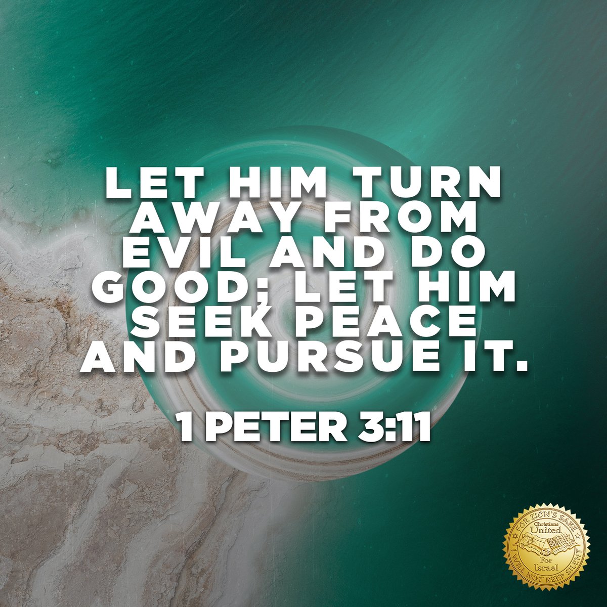 "Let him turn always from evil and do good; let him seek peace and pursue it." 1 Peter 3:11
#good #peace #bible
