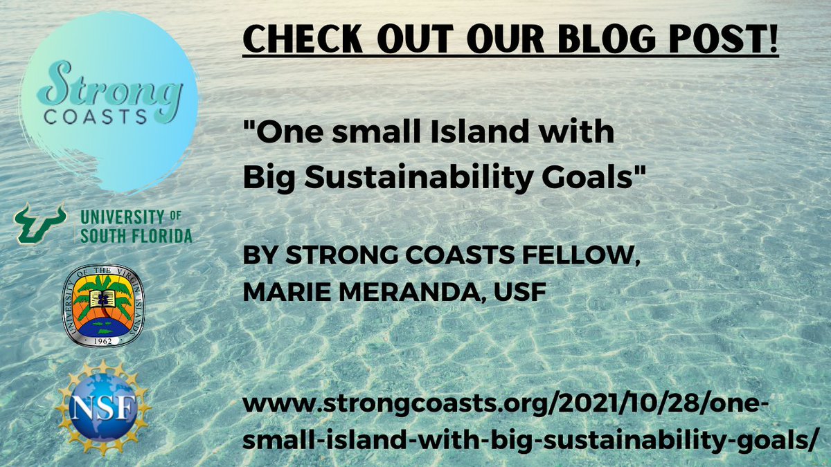 Strong Coasts tweet media