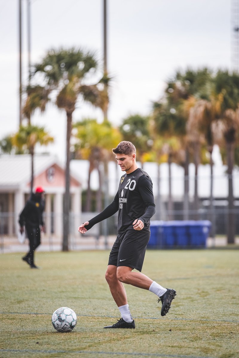 Chas_Battery's tweet photo. Putting on the final touches this morning ⚽️🌴

#CB93 https://t.co/0pa2u963WY