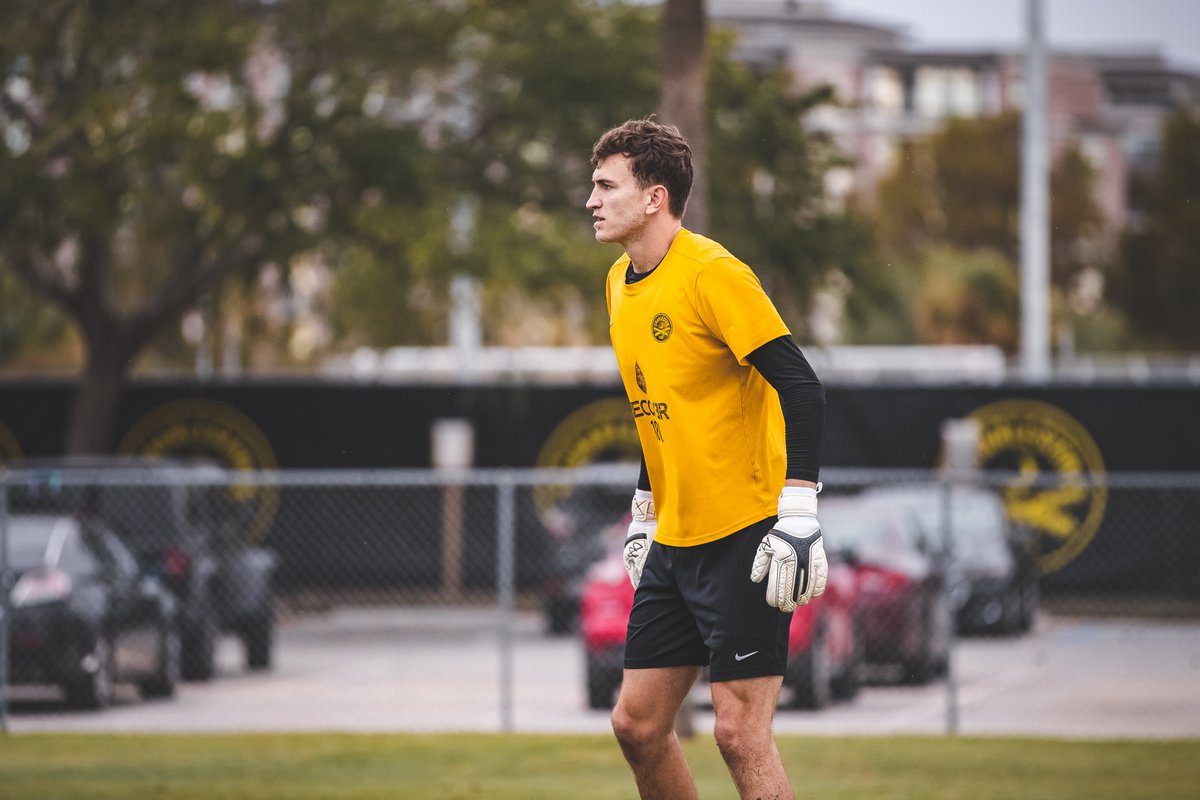 Chas_Battery's tweet photo. Putting on the final touches this morning ⚽️🌴

#CB93 https://t.co/0pa2u963WY