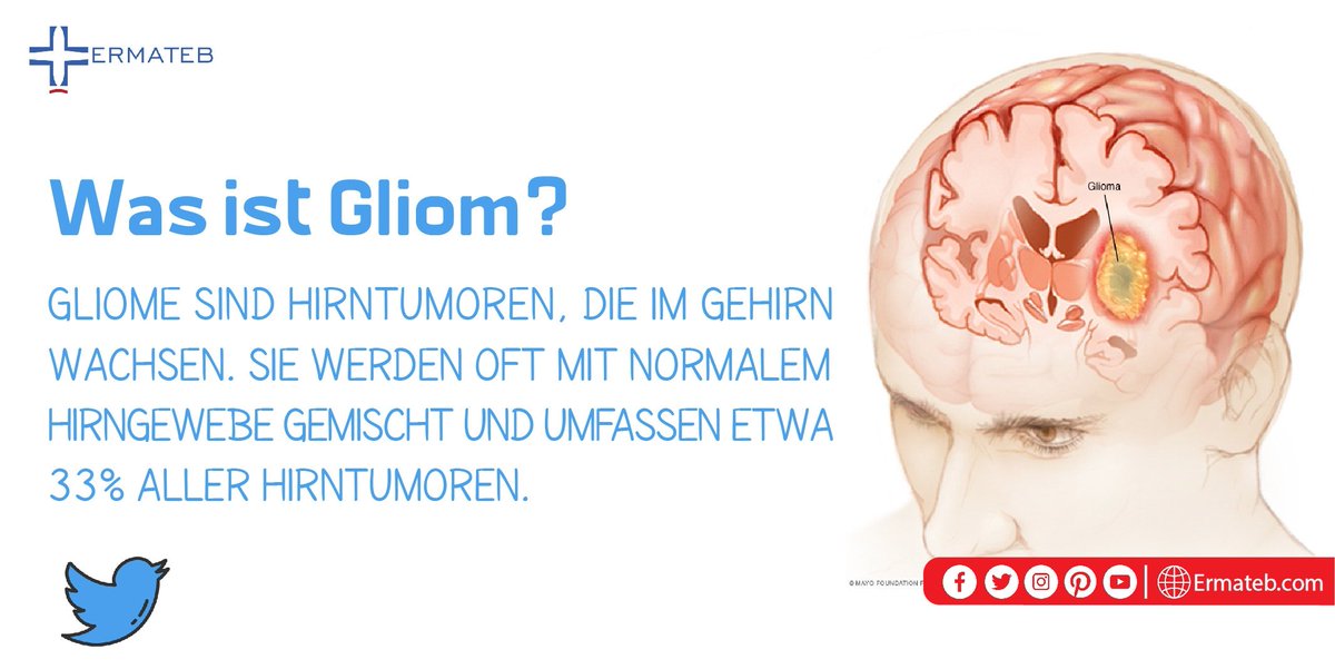 ermatebde's tweet photo. Häufige Symptome eines Glioms:
-Kopfschmerzen
-Erbrechen
-Schwindel
-Alzheimer
-Persönlichkeitsveränderungen
-Harninkontinenz
-Sehstörung
-Sprachstörung
-Anfall
#berlin #tourism #medicaltourism #germany #ermateb_en #ermateb #ermateb_farsi #ermateb_ur #ermateb_ru #ermateb_ar https://t.co/3qK9dsyyAh