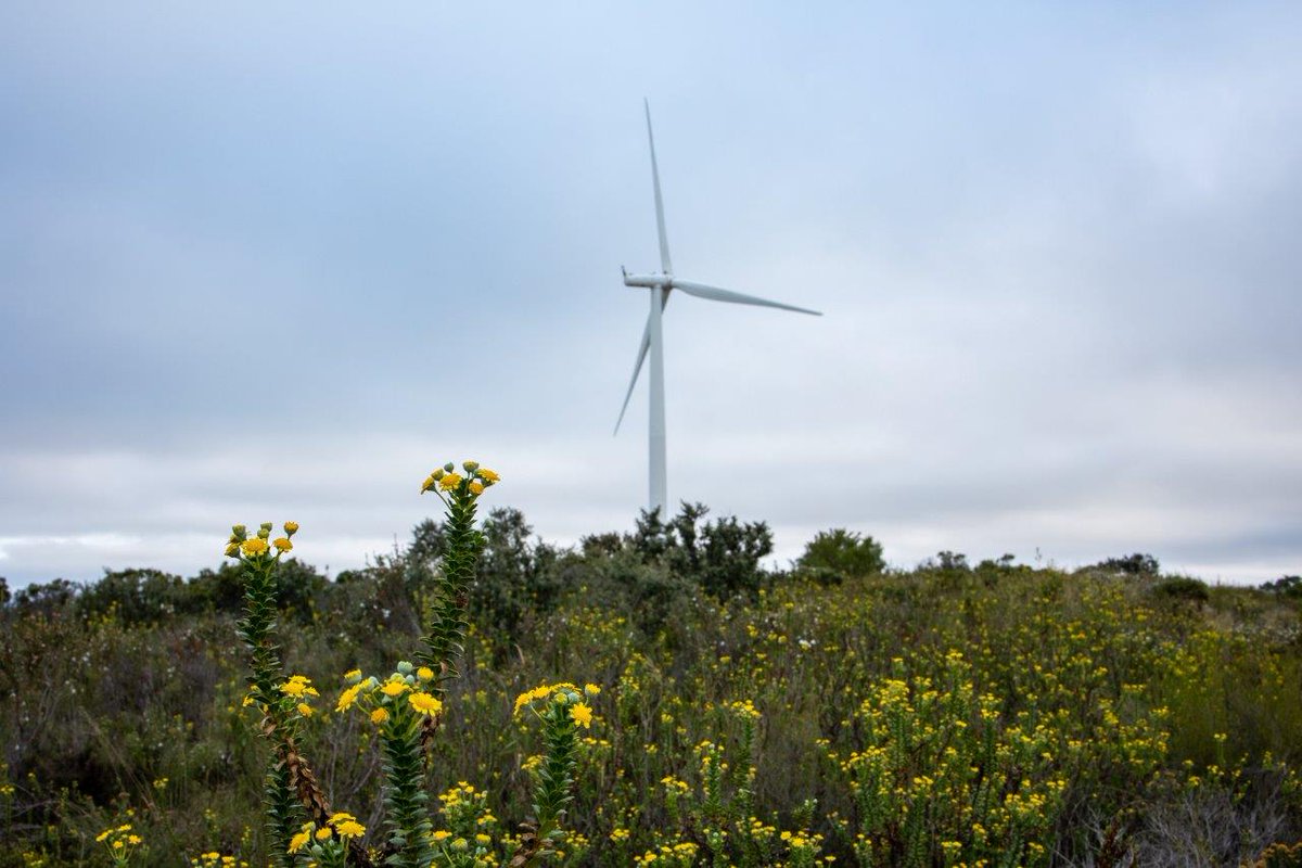 GBADigitalMedia's tweet image. @_sawea  Welcomes Twelve New Onshore Wind Projects in REIPPPP-BW5 #southafrica #windprojects greenbuildingafrica.co.za/sawea-welcomes…