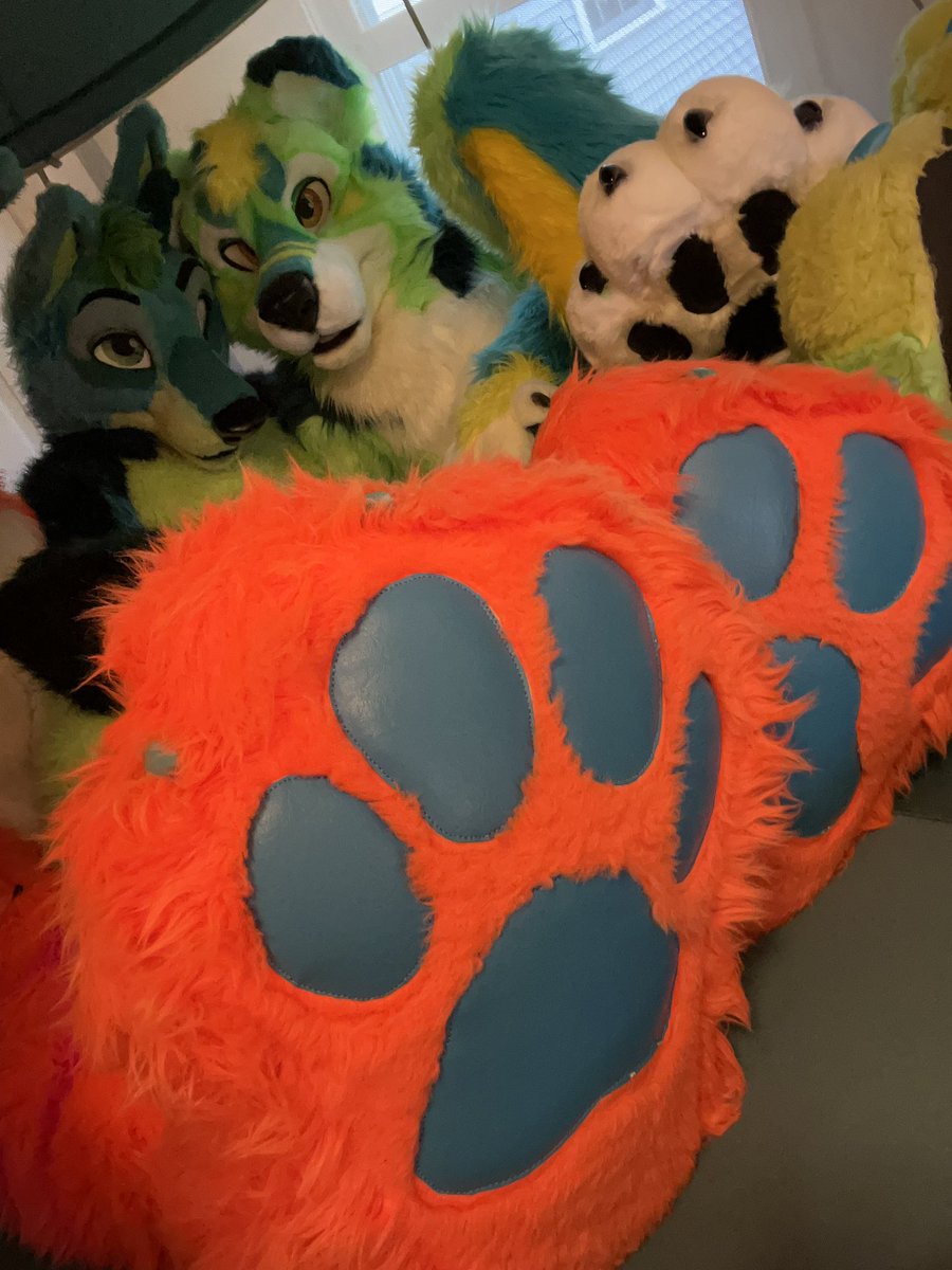 Avi Fox🍊🦊 tweet media