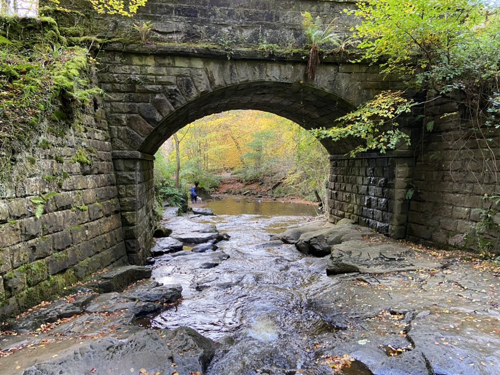 ironinlincoln's tweet photo. #fallingFoss https://t.co/4KfbI7073i