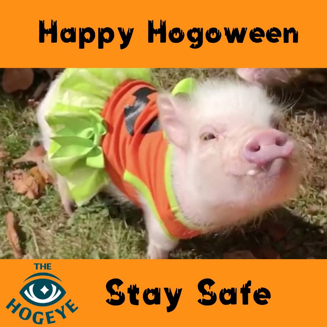 Show us your best #costume that you ran in! Tag a friend and retweet! Register here: app.regwiz.io/register/hogey… #hogeyemarathon #theoneforall #halloween #running #runchat #pigs #hogs #runners #races #springdale #arkansas