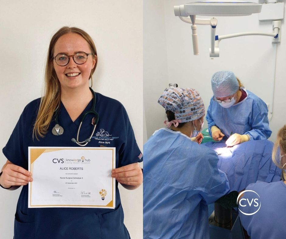 CVSGroupPlc's tweet photo. Congratulations to Registered Veterinary Nurse Alice from Carrick Veterinary Group, who recently completed her Nursing Schedule 3 training!
A great achievement for both Alice and for Carrick. Well done!
#whatVNsdo #planetRVN #vetmed #veterinary #GreatPlaceToWork #PeoplePost https://t.co/ZRT5KdQHaP