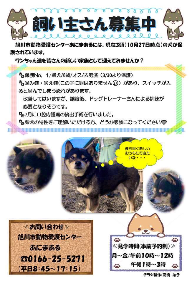 あにまある Twitter Search あにまある Twitter Search