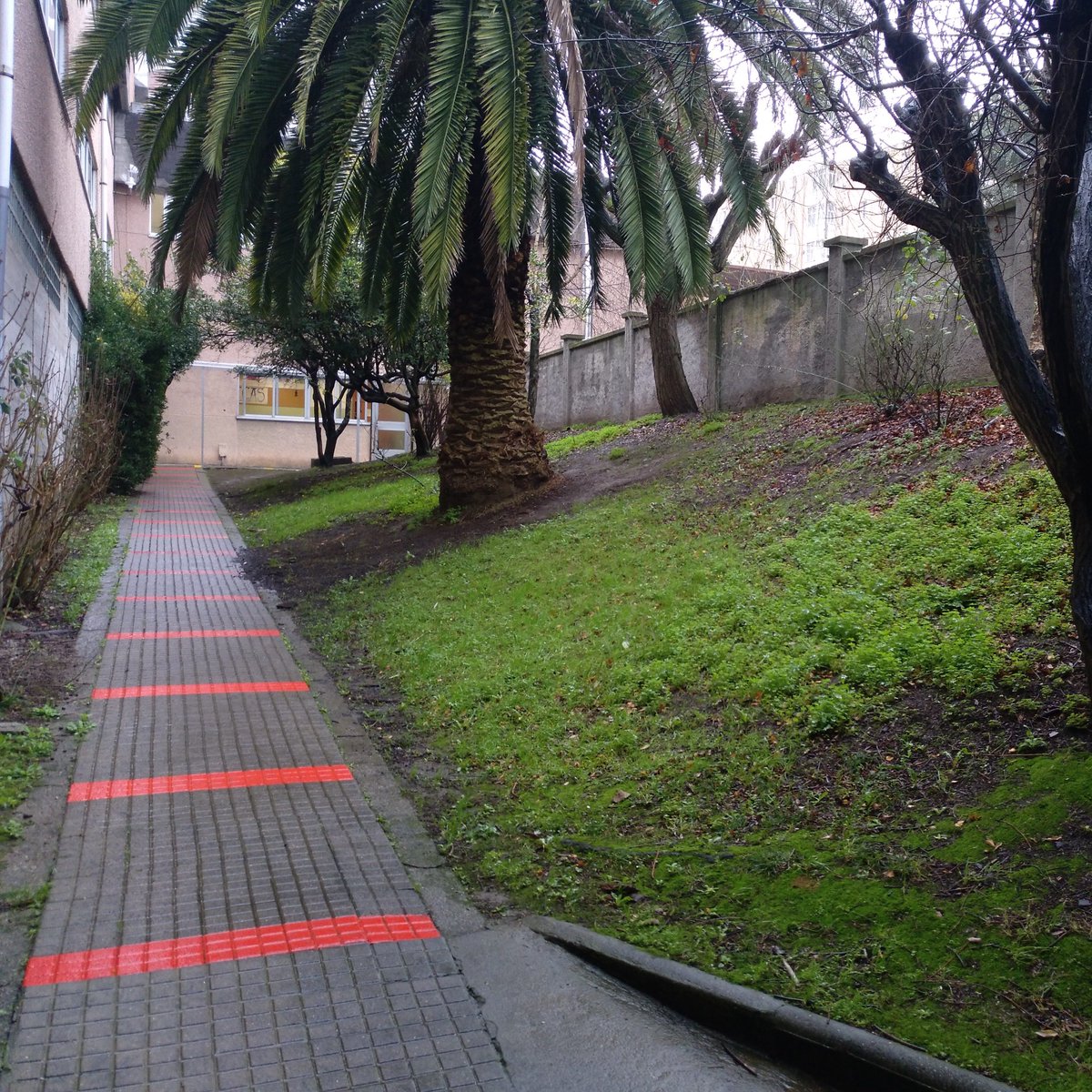 dismediaT's tweet photo. El CEE Nuestra Señora del Rosario ha confiado en Dismedia para que diseñemos y construyamos un nuevo patio para ellos.🌳💫

🔍Más info. en: https://t.co/TaRbltRXQQ

#innovacióneducativa #asesoramientopedagógico #mejoras #infraestructuras #patio #recreo https://t.co/NaqP05fWCR