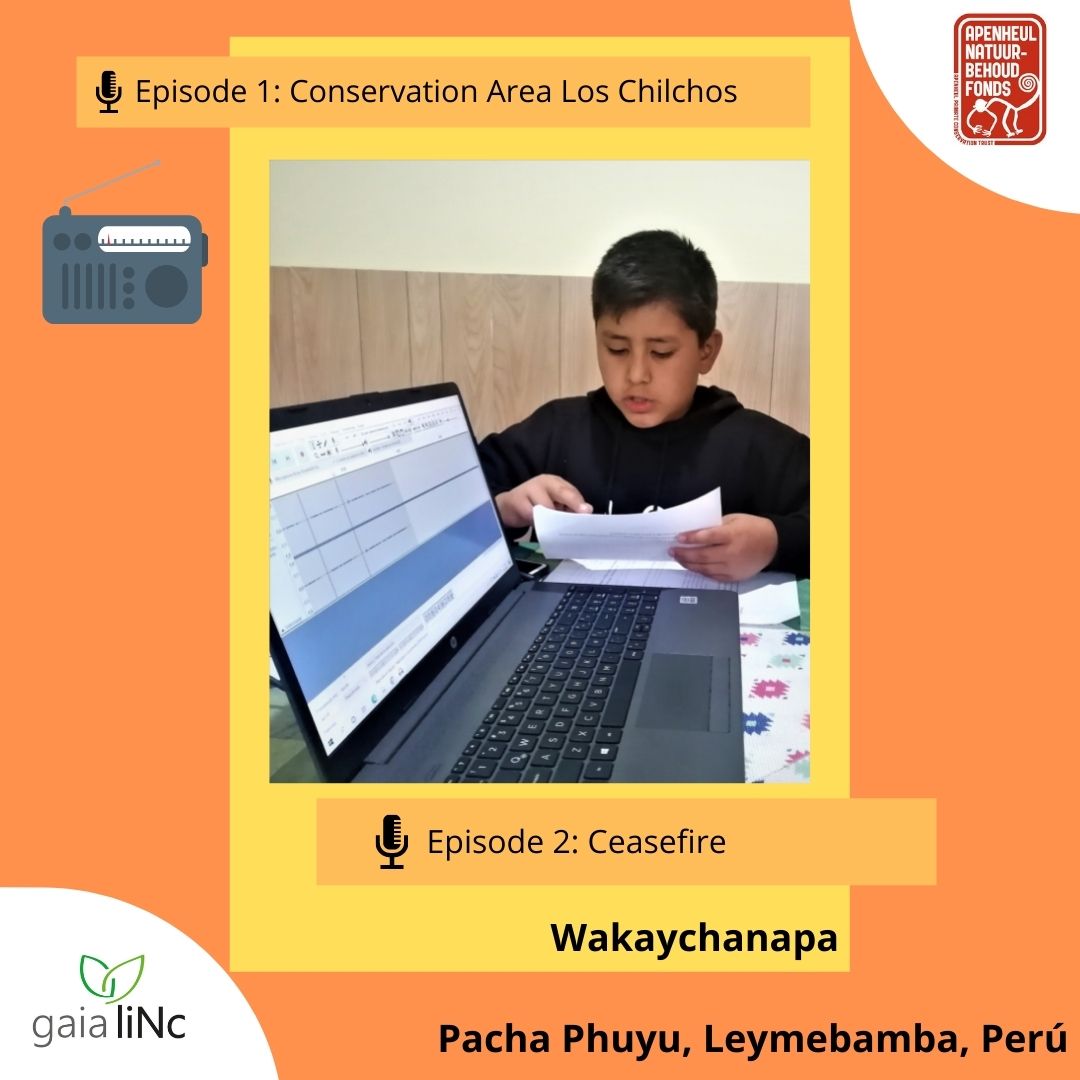 GaiaLinc's tweet photo. Our Pacha Phuyu project created the microprogram radio "Wakaychanapa", a Quechua word that means "conserve". 
Connect every Friday at 12:00 pm to the radio station Radio Victoria 102.1 FM, and learn more about the area and impact of our project: https://t.co/DWiLpAUiuG 🎙️ https://t.co/TAswT9tHhT