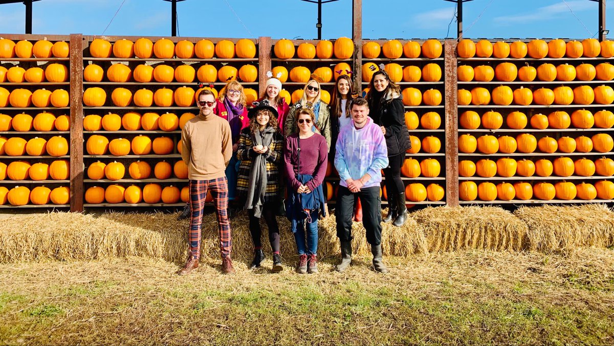 DMUEngagement's tweet photo. From all of us in the Public Engagement team, have a #spooktacular weekend! 🎃🦇🪄👻
#publicengagement #dmulocal #Halloween #pumpkins #spookyweekend https://t.co/1cHd70slbV