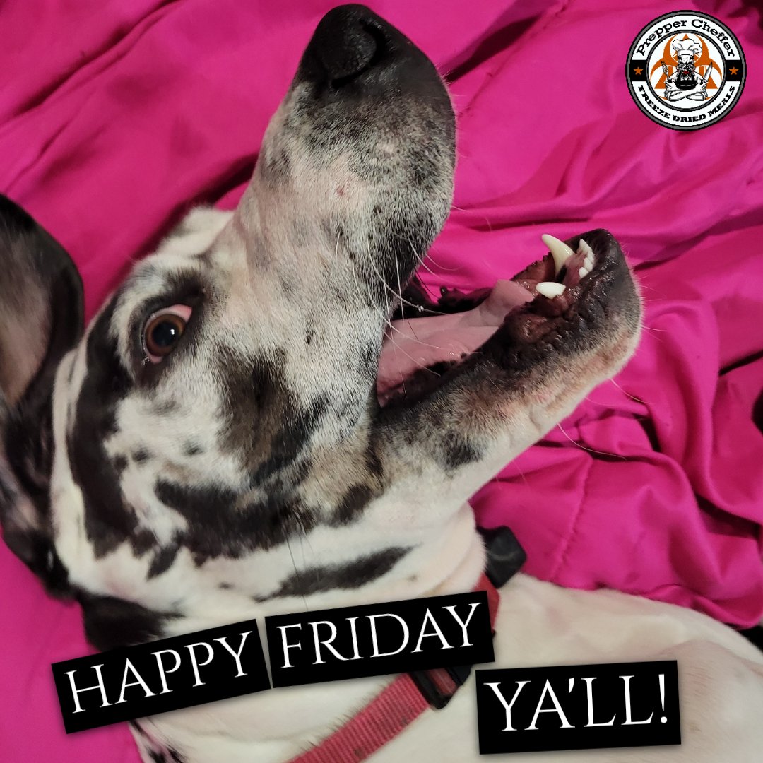 Happy Friday Yall! GROOMER THE Great Dane says yall can SAVE 25% on Freeze Dried Meals, Sides,
Fruits and Vegetables using...

Coupon Code: 25RIPL
 preppercheffer.com

#freezedriedfood #freezedriedmeals #camping #hiking #fishing #rv #trails #food #meals #freezedried #yum