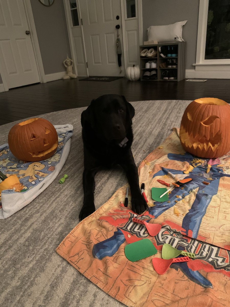 Fred Lynn Hornets have too much character to bully or use drugs! #BullyingPreventionMonth2021 #RedRibbonWeek2021 #FLHornets