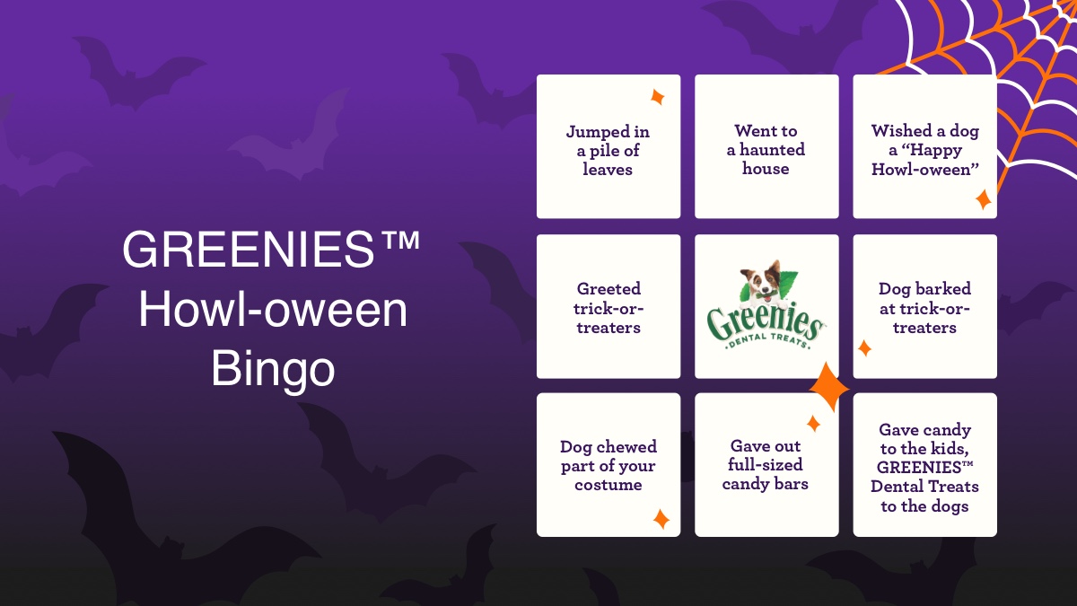 After you've stocked up on candy and GREENIES™ Dental Treats, take a bingo break with your doggo — then share your winning square and tag @Greenies! #greenieshowloween