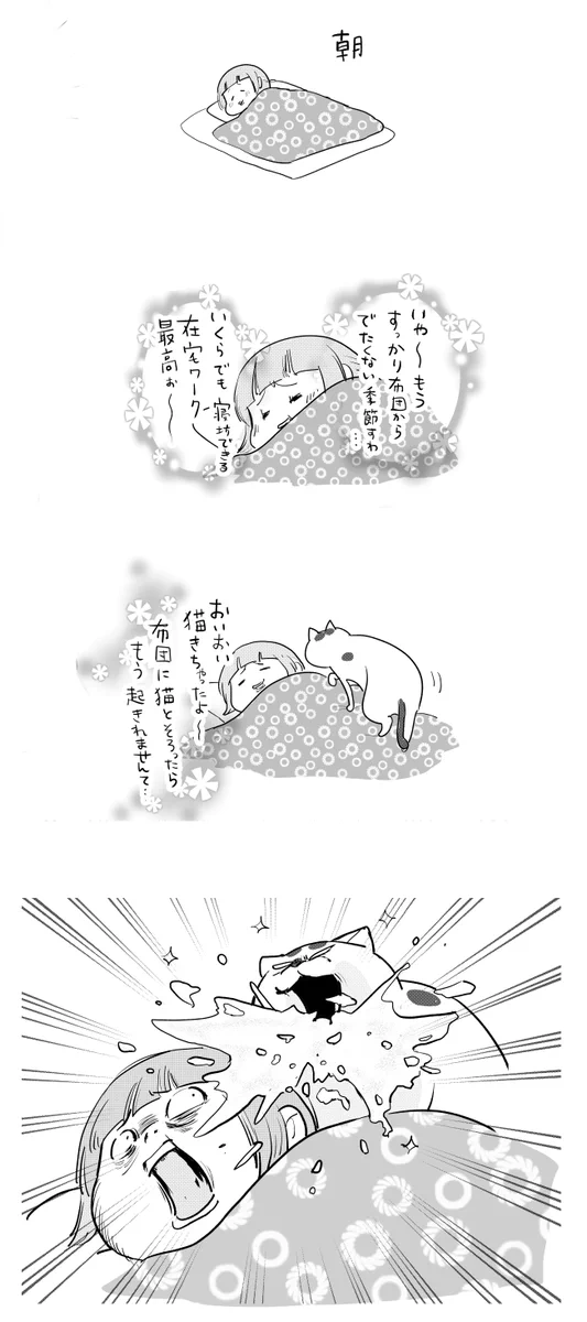 これには飼い主もショック！猫が来たと思ったら突然の頭ゲロ！ｗｗ