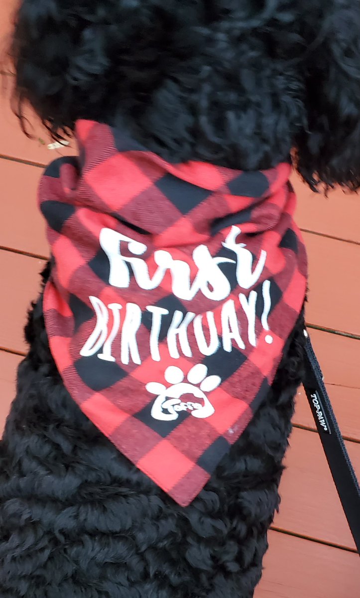 Happy Friday!! Look who just turned One! Happy Birthday to my favorite little guy!!