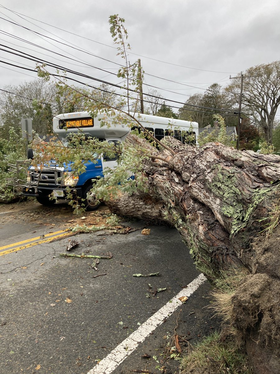 Meeratweets's tweet photo. …many didn’t make it through the #CapeCodStorm, including this grand ole maple in our backyard, the mailbox at the end of the driveway (flat as a pancake), and so many beautiful trees along 6A. https://t.co/1qdQuvUdZu