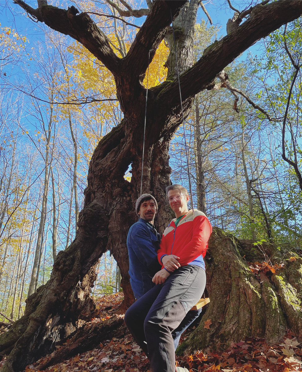 Darlingside tweet media