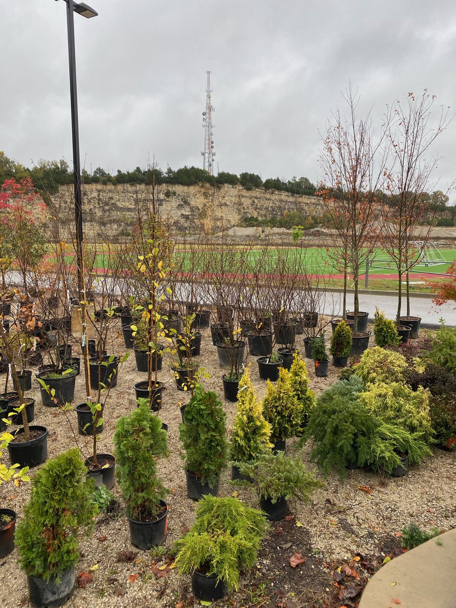 knichols003's tweet photo. Make sure to join us tomorrow from 9am-1pm for the 2nd Annual Fall Tree sale! https://t.co/B1z45lQEtb