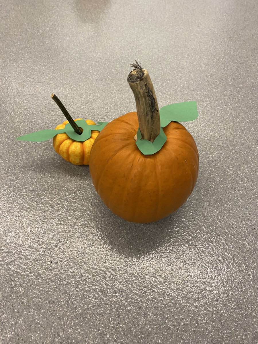 Our class just learned about matter and energy in ecosystems, so to share our learning we created a pumpkin patch for <a href="/mshalegillroy/">M'Shale Gillroy</a> pre-k knights and taught them about the plant life cycle. thanks to the book “pumpkin,pumpkin,” then they all got to pick a pumpkin from the patch.