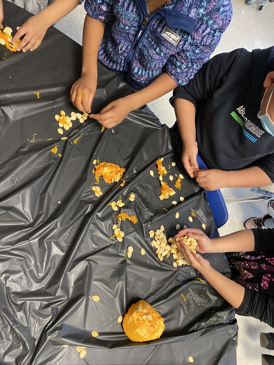 Mrs_Lasky's tweet photo. Pumpkin investigation! We weighed, measured, and counted all of the seeds inside our pumpkin. Can you believe we had 551 seeds!? We had a great day learning about pumpkins. #wcbpride https://t.co/xDOjWW2W8H
