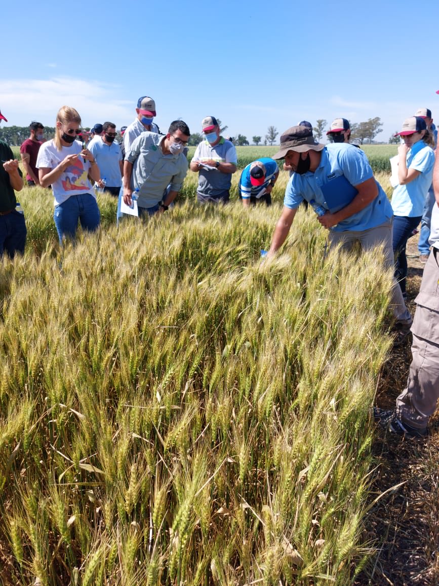 danugiorgi's tweet photo. Excelente jordana de intercambio en #FungicidasEnTrigo con distribuidores, técnicos, asesores y productores de la zona junto al referente Enrique Alberione en la estación experimental de San Jerónimo Sud. @BASF_Agro_ARG
#Capacitación #Fungi #Agro #Allegro #Opera #OrquestaUltra https://t.co/0tEmPRB6qz